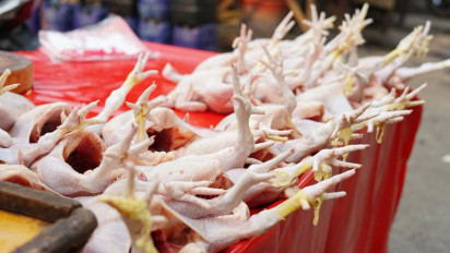 Harga Ayam di Pasar Kebayoran Lama Naik, Omzet Pedagang Turun Hingga 50 Persen