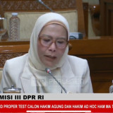 Uji Kelayakan Calon Hakim Agung, Lola Nelria Tanya Perspektif Diana Malemita Ginting soal Pajak Karbon