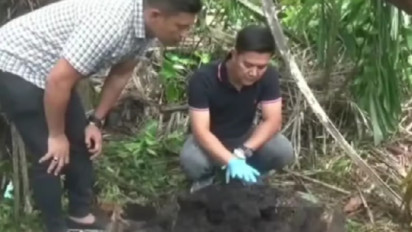 Misteri Penemuan Tulang Manusia di Pohon Aren, Identitasnya Perlahan Terungkap Setelah Pengakuan Warga
