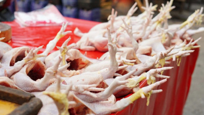 Harga Ayam Naik 5,18 Persen, Mentan Amran: Masih Wajar dan Segera Stabil