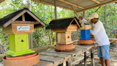 Petik Manisnya Madu, Warga Cemara Kulon Temukan Sumber Rezeki Baru lewat Budidaya Lebah Trigona