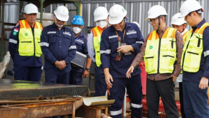 Mendiktisaintek Brian Dorong PT Timah Kembangkan Logam Tanah Jarang di Indonesia: Ini Berkah yang Sangat Besar Nilainya