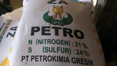 Petani Tebu Bisa Tebus Pupuk ZA Bersubsidi Mulai September 2025, Segini Harga Eceran Tertingginya