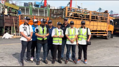 Sinergi Pemerintah dan Swasta Percepat Impor Sapi Perah, Pasokan Susu MBG Semakin Terjamin