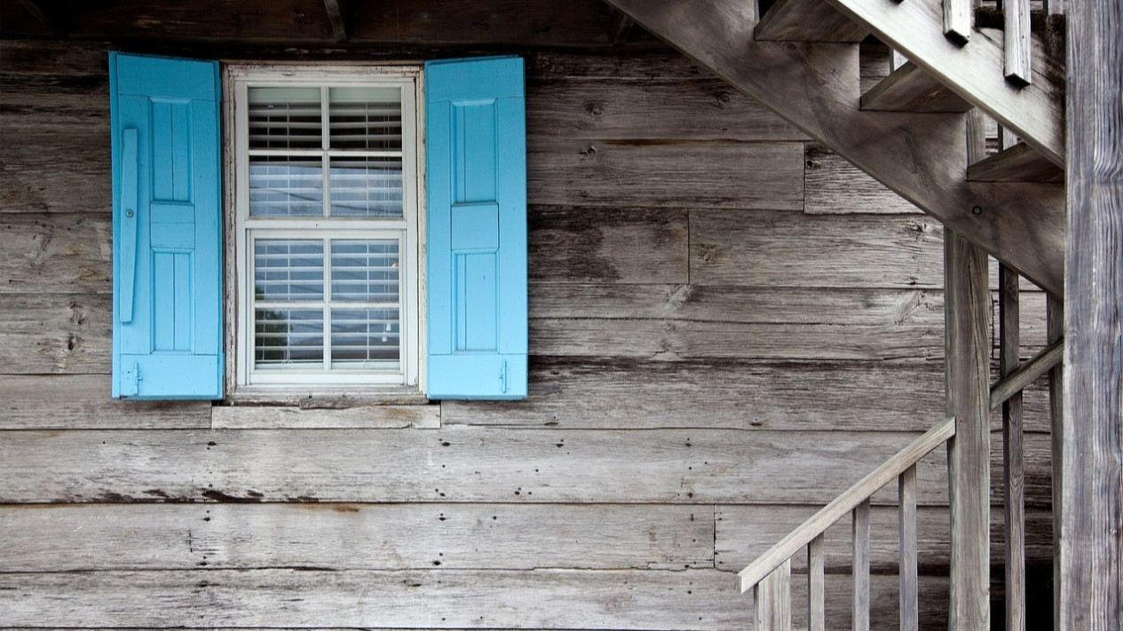 Hati-hati Kalau Ada Hewan ini di Rumah, Bisa Jadi Pertanda Hal Buruk, Ternyata Hewan Itu...
            - galeri foto