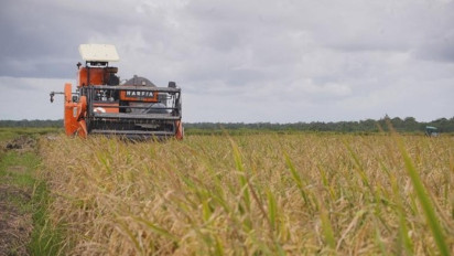 Beras Jadi Penahan Inflasi, Anomali Deflasi September 2025