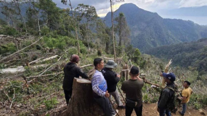 Polres Aceh Tengah Tangkap Kades Terkait Perambahan Hutan Lindung 