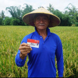 Peringati Hari Tani Nasional, BRI Perkuat Dukungan bagi Sektor Pertanian melalui Akses Pembiayaan dan Pemberdayaan Inklusif