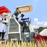 Petani Banyuwangi Akui Dampak Positif Program Ketahanan Pangan Presiden Prabowo