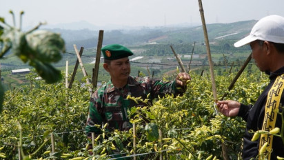 TNI AD Jalankan Program Agroforestri di Takokak Cianjur, Angkat Ekonomi Petani dan Peternak