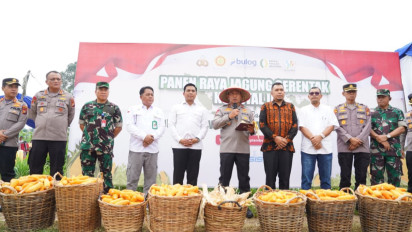 Polda Riau Gelar Panen Raya Jagung Serentak Kuartal III di Pekanbaru, 127 Hektare Lahan Dipanen