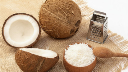 Santan Kelapa Ternyata Punya Manfaat Dahsyat untuk Tubuh, dr. Zaidul Akbar Ungkap Rahasianya!