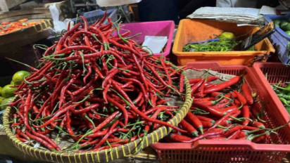 Dinas KPKP Ungkap Penyebab Utama Harga Cabai Merah Keriting Meroket di Jakarta