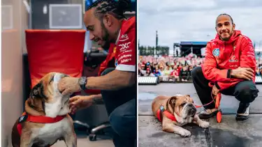 Lewis Hamilton dan Anjing Peliharaannya, Roscoe