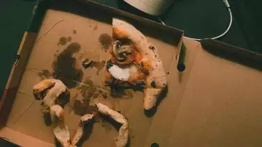 Ilustrasi makanan sisa