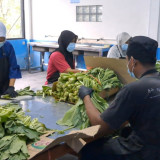 ICW Bongkar Potensi Rp2 Triliun di Balik SPPG Polri, Minta KPK Turun Tangan