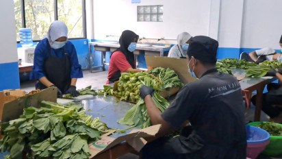 ICW Bongkar Potensi Rp2 Triliun di Balik SPPG Polri, Minta KPK Turun Tangan