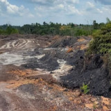 Otorita IKN Menguak Tabir Tambang Batu Bara Ilegal Hingga Perambahan Hutan di Kawasan IKN