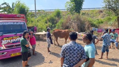 Gerebek Rumah Gembong Curwan, Polisi di Probolinggo Amankan 5 Sapi Diduga Hasil Curian 
