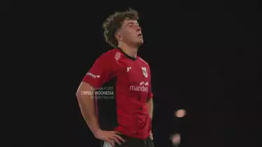 Ole Romeny, Pemain Timnas Indonesia