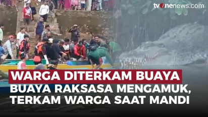 Ngeri! Buaya Terkam Warga di Sungai, Jasad Ditemukan 11 KM dari Lokasi