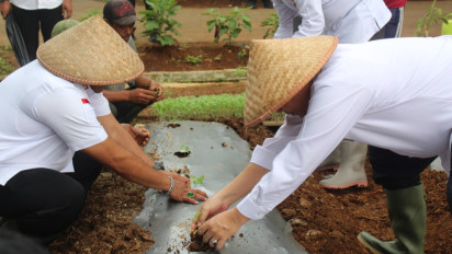 Perkuat Program Ketahanan Pangan, Warga Binaan Lapas Warungkiara Tanam Anggur Hingga Terong