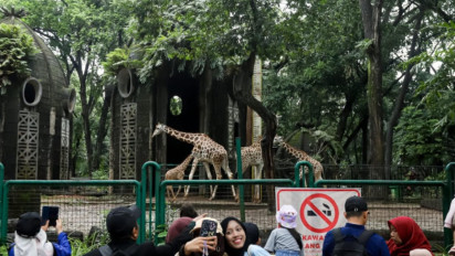 Libur Natal 2025, Pengunjung Taman Margasatwa Ragunan Diprediksi Capai 50 Ribu Orang
