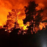 Kebakaran Pasar Induk Kramat Jati Berawal dari Los Pepaya, Dua Ledakan Picu Kepanikan Pedagang