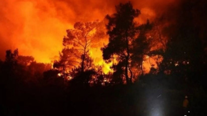 Kebakaran Pasar Induk Kramat Jati Berawal dari Los Pepaya, Dua Ledakan Picu Kepanikan Pedagang