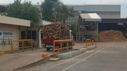Penjualan Kayu Revitalisasi Alun-Alun Probolinggo Dipertanyakan, PT KTI Sampaikan Klarifikasi