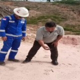 Temukan Jejak Harimau di PHR, BBKSDA Riau Pasang Kamera Jebak