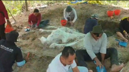 Tim Geologi Ekskavasi Fosil Gajah Purba di Hutan Tritik Nganjuk, Daftar Panjang Situs Purbakala di Jawa Timur