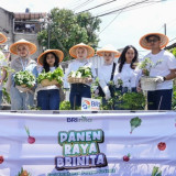 Peringati Hari Pangan Sedunia, BRI Peduli Tegaskan Komitmen Dukung Ketahanan Pangan Melalui Panen Raya BRInita