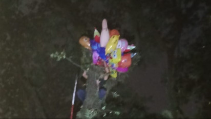 Kesulitan Tak Bisa Berdagang, Damkar Kota Tangsel Evakuasi Puluhan Balon  Tersangkut di Pohon Setinggi 10 Meter