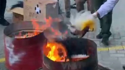 Kemenhut Minta Maaf ke Masyarakat Papua Terkait Pemusnahan Barang Bukti Mahkota Cenderawasih