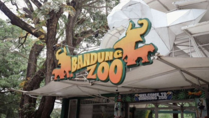 Soal Nasib Bandung Zoo, DPRD Minta Pemkot Bandung Segera Bersikap