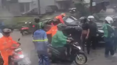 Pohon Tumbang menimpa mobil Lexus di Pondok Indah, pengemudi tewas