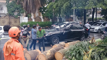 Eks Direktur Danareksa Tewas Tertimpa Pohon Tumbang di Pondok Indah, Pemprov DKI Siapkan Santunan