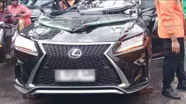Lexus hitam tertimpa pohon palem setinggi 15 meter, menewaskan Eks Direktur PT Danareksa