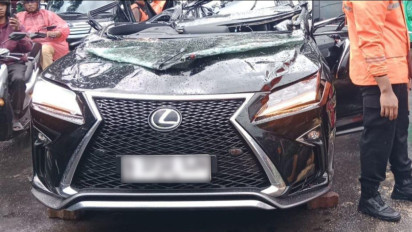 Pohon Palem 15 Meter Roboh Timpa Lexus Hitam di Pondok Indah, Ini Tipe dan Spesifikasi Mobilnya