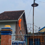 Sering Sengat Warga, Sarang Tawon Vespa di Sidoarjo Dievakuasi Damkar