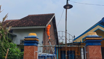 Sering Sengat Warga, Sarang Tawon Vespa di Sidoarjo Dievakuasi Damkar