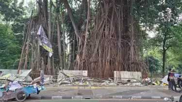 Penggusuran Pasar Burung Barito, Jakarta Selatan, Senin (27/10).