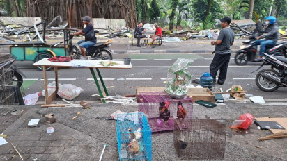 Pasar Burung Barito Digusur, Pedagang: Ini Bukan Penertiban, tapi Pelanggaran Hukum