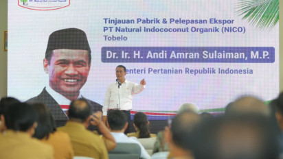 Kelapa Maluku Utara Tembus Tiongkok, Hilirisasi Berhasil Dongkrak Ekonomi Petani