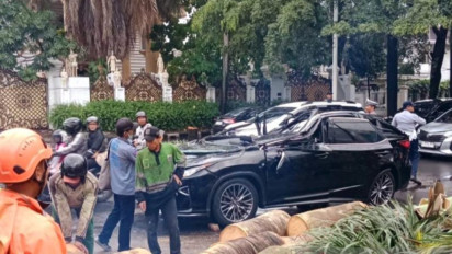 Cerita Saksi Lihat Pohon Palem Timpa Eks Direktur Danareksa Harry MP Danardojo yang Tengah Mengendarai Lexus di Pondok Indah