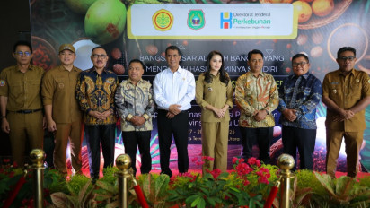 Pengembangan Pertanian Lewat Keunggulan Komparatif Wilayah, Mentan Amran Akselerasi Pengembangan Kelapa di Malut