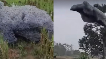 Geger! Awan Hitam Melayang Berbau Septic Tank di Subang