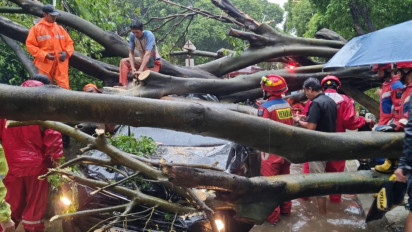 Pohon Tumbang Timpa 5 Mobil di Dharmawangsa Jaksel, 1 Orang Tewas
