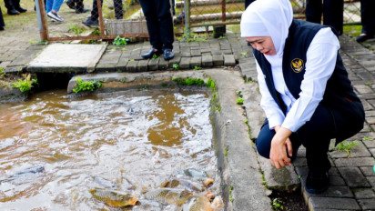 Gubernur Khofifah Tinjau Instalasi Budidaya Ikan Mas Punten Diskanla Prov. Jatim  di Kota Batu